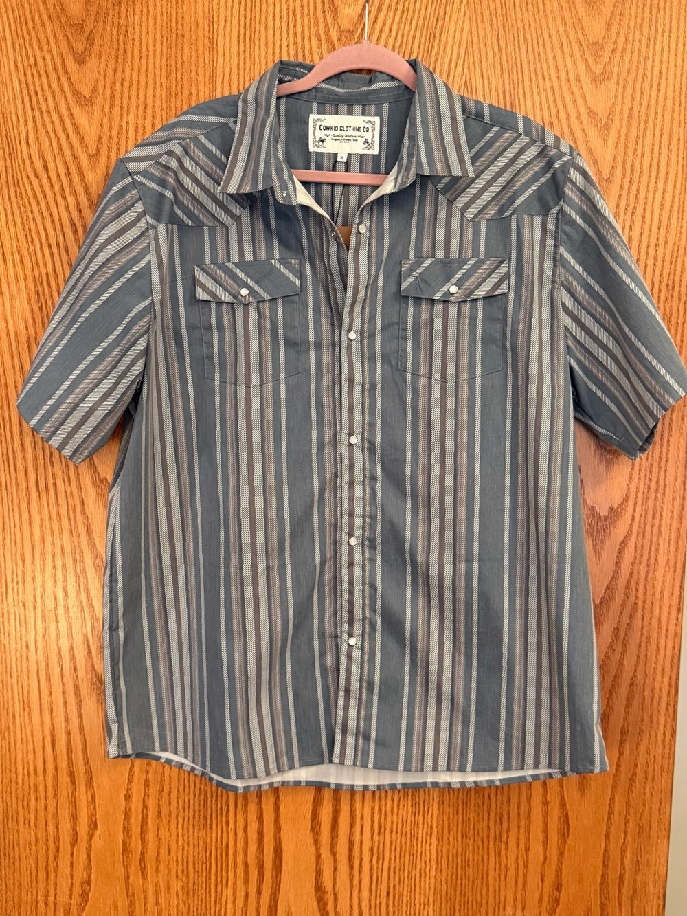 Casual Short-Sleeve Striped Button-Down Shirt in Blue